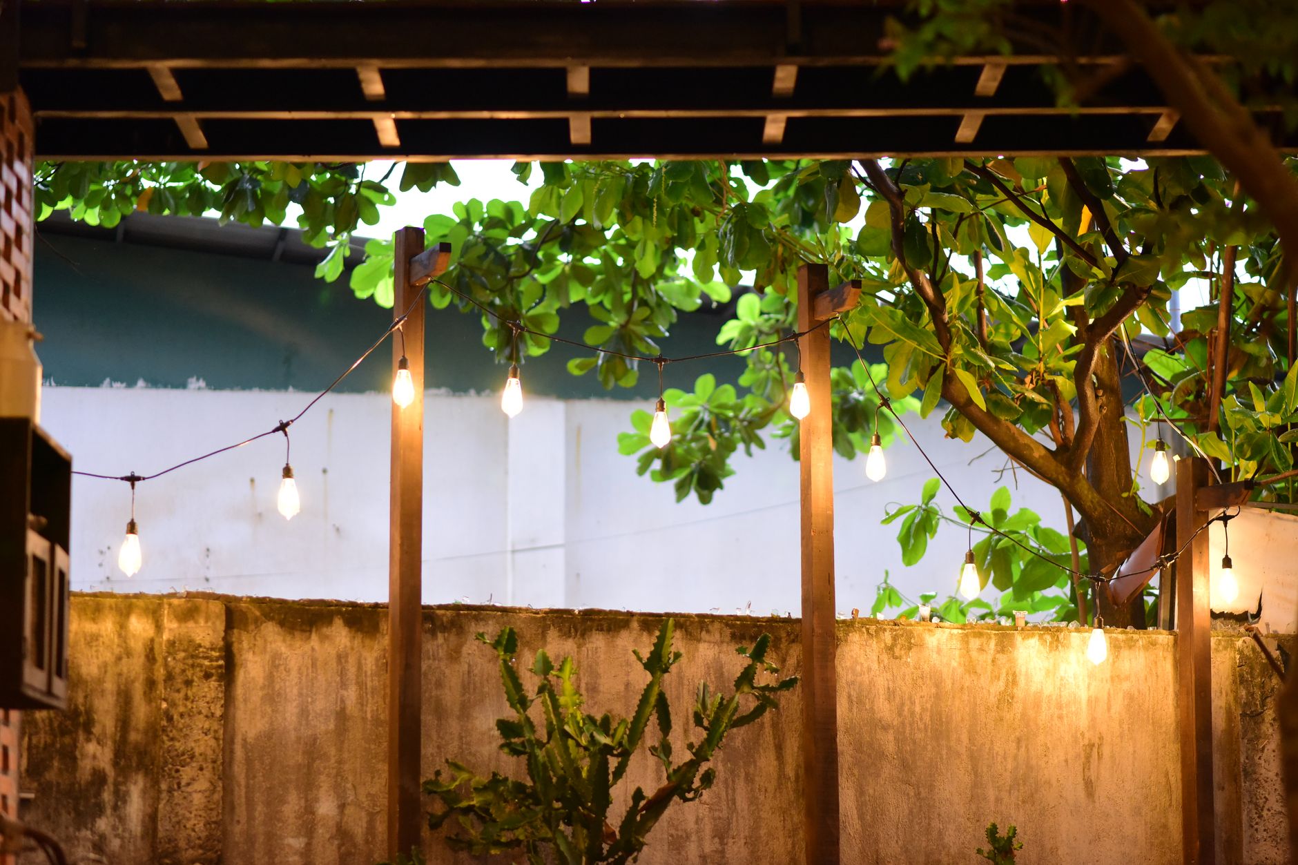 Backyard patio with string lights at 3418 Tejon Street