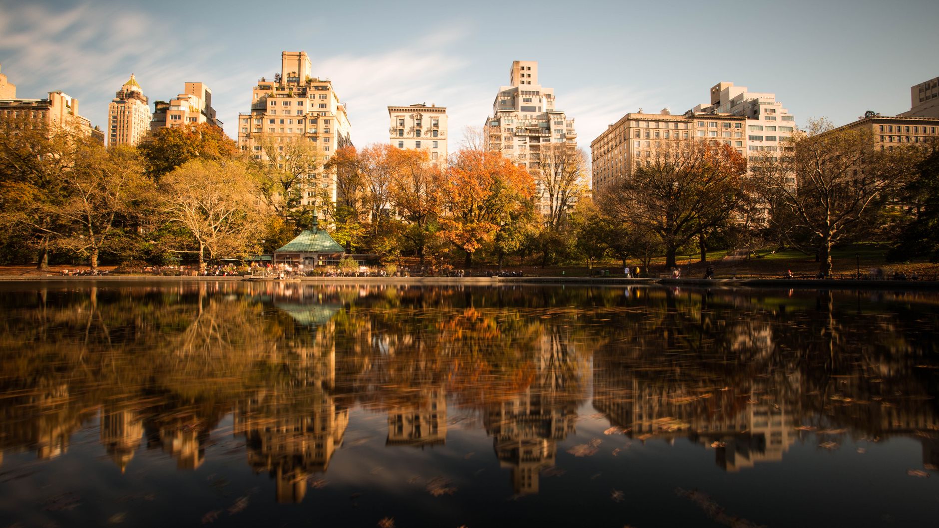 Park lake surrounded by autumn trees